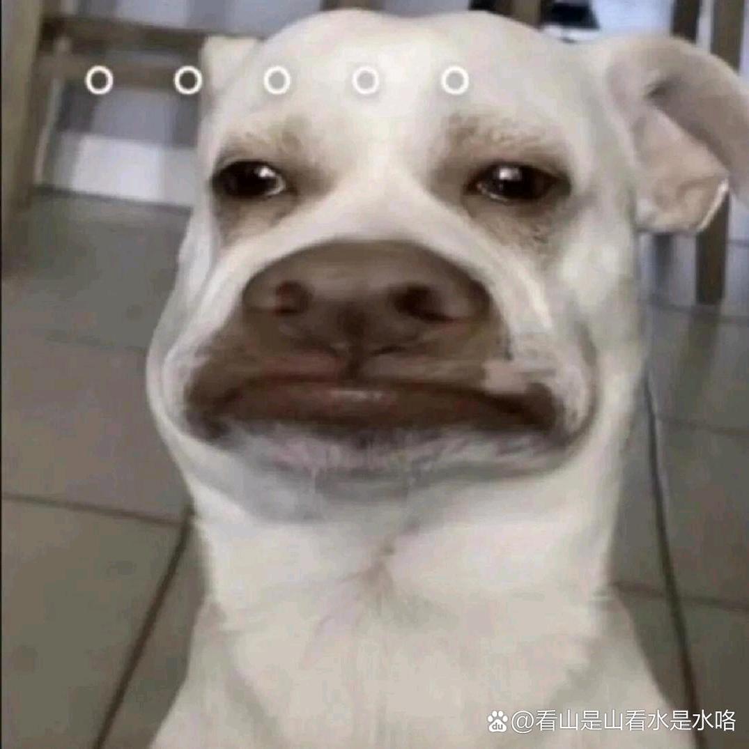 天天打怪兽