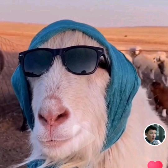 江南水乡，一山一世界一水一故乡。阿穆多吉