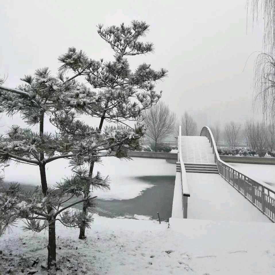 好声音