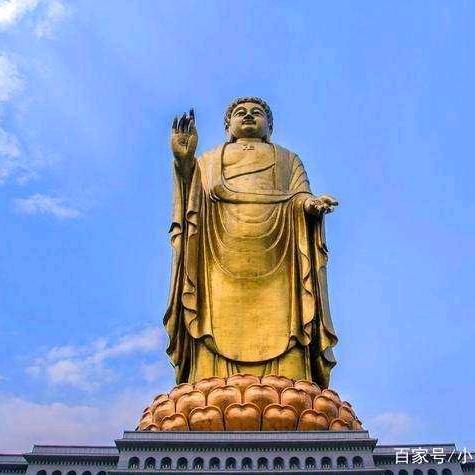 我的法号圆建