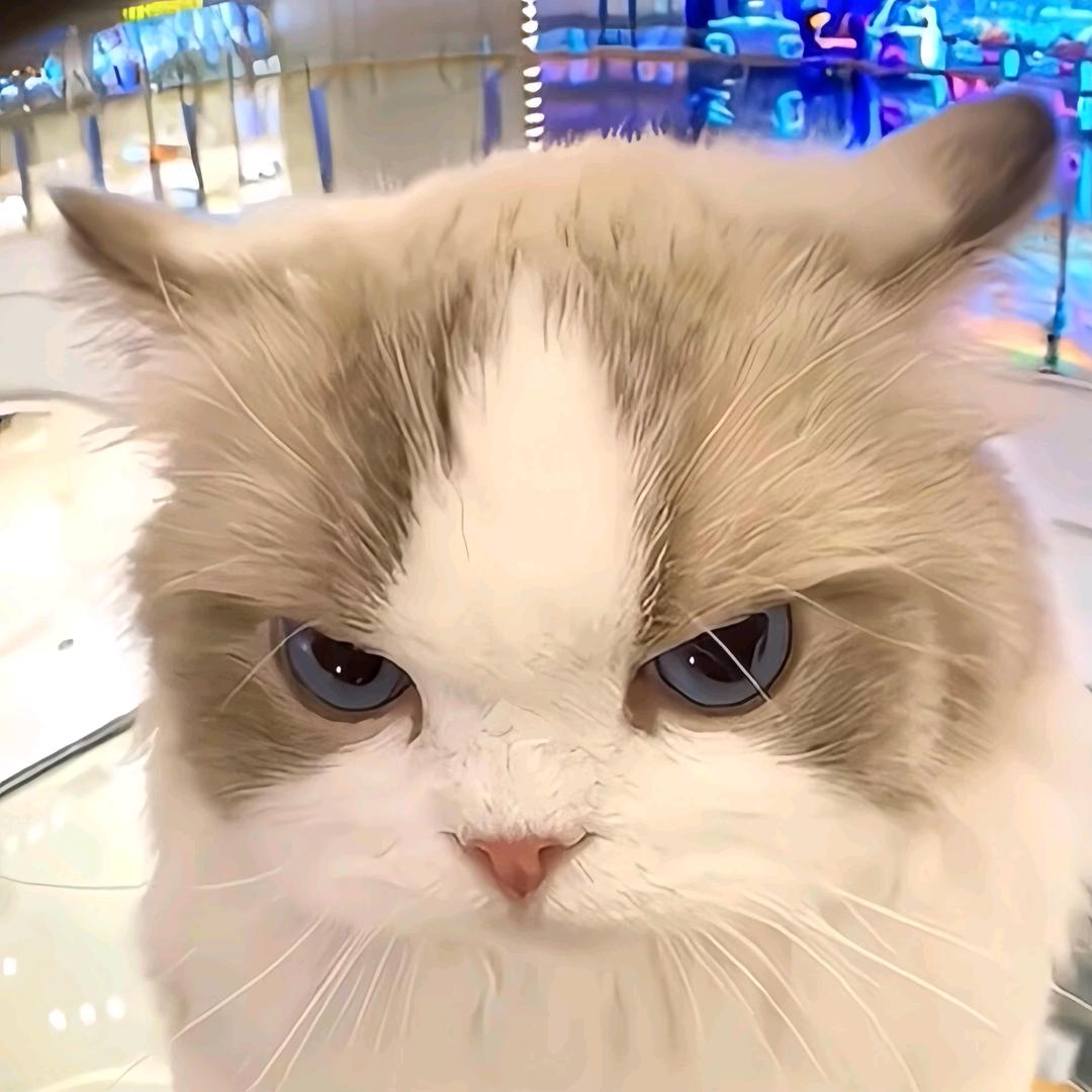 红旗飘扬映初心