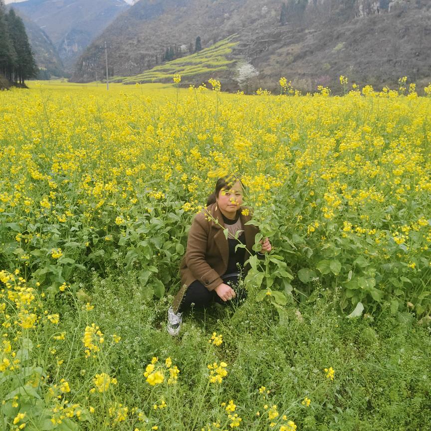 用户9816699889169i