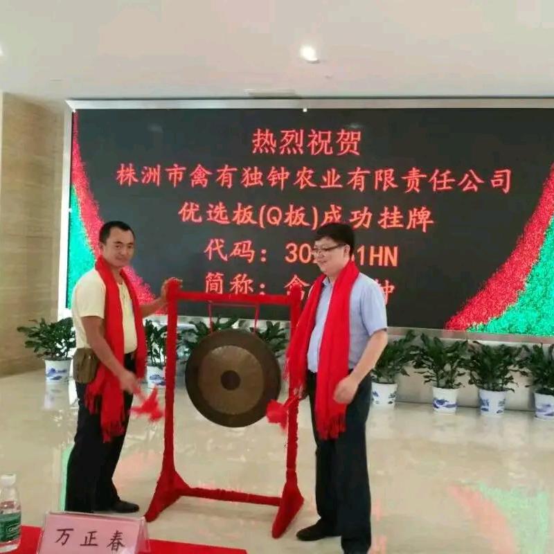 专注丛林土鸡（蛋）