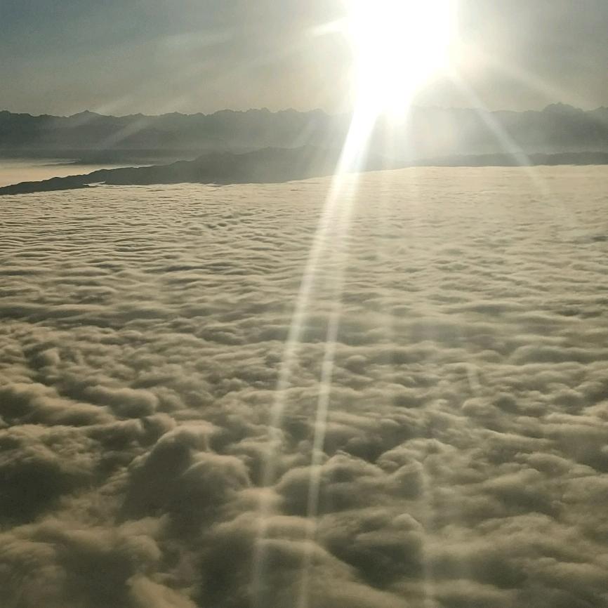 ☞歲仴如歌☜→_→