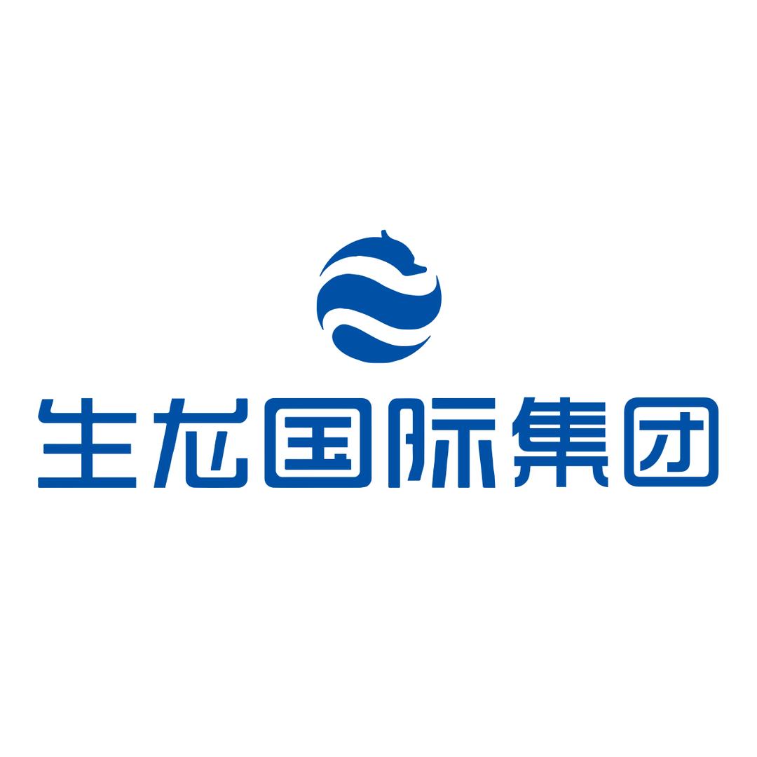 生龙国际集团