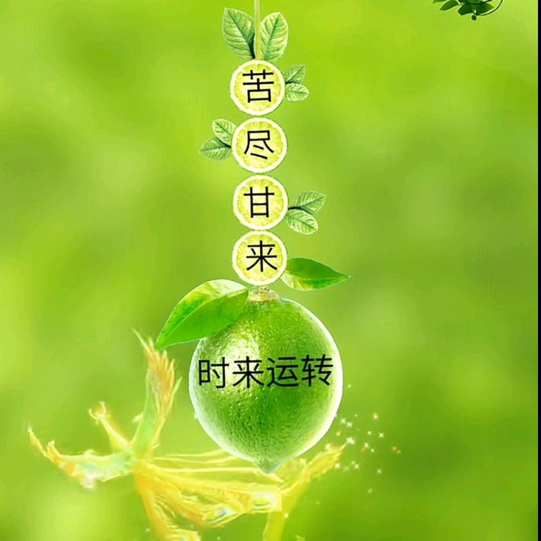 恭喜发财。