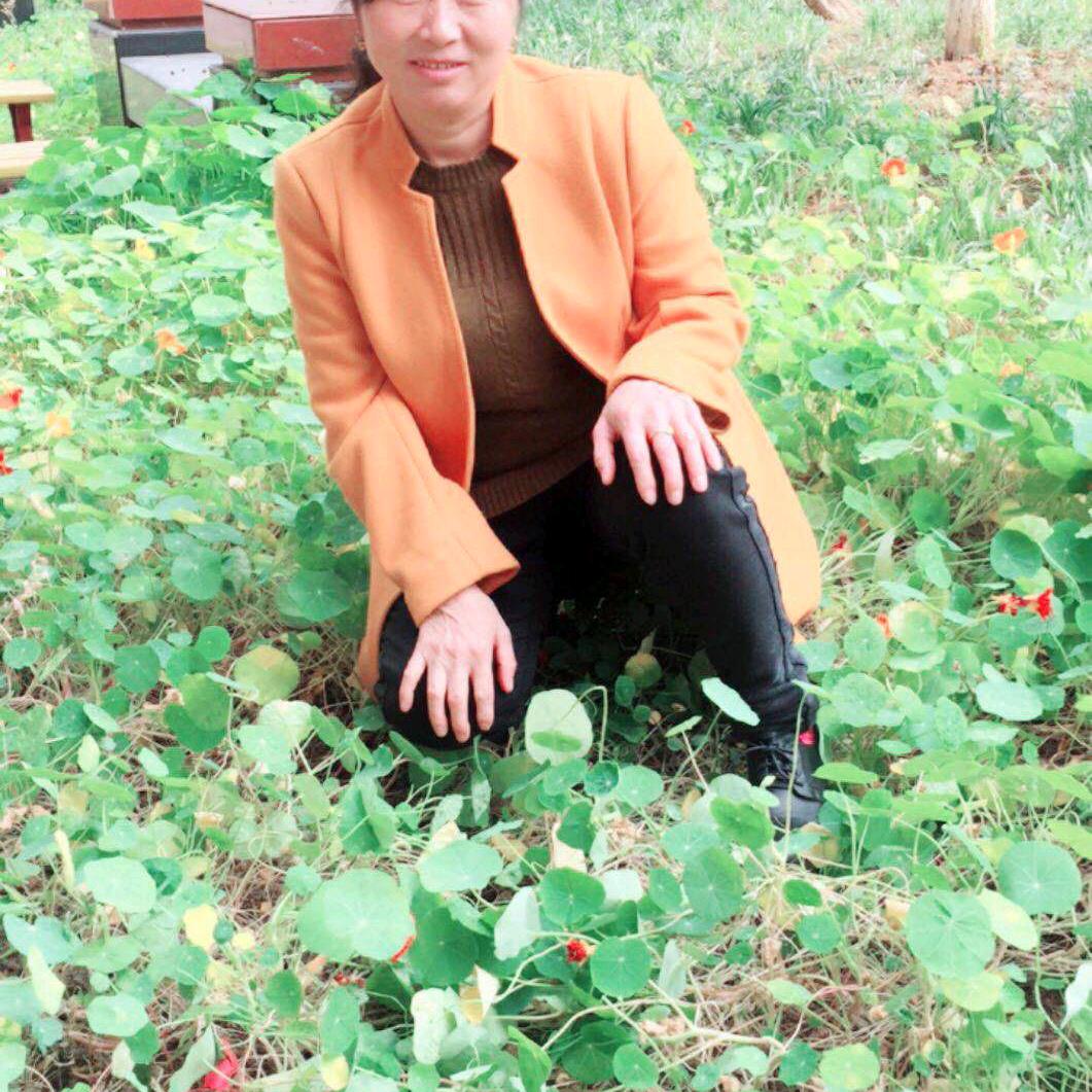 农村大姐