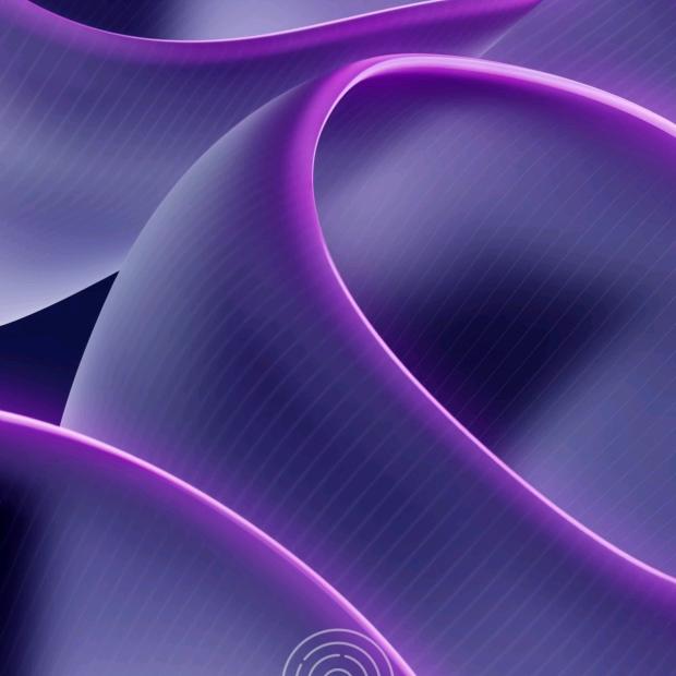 他朝若是同淋雪