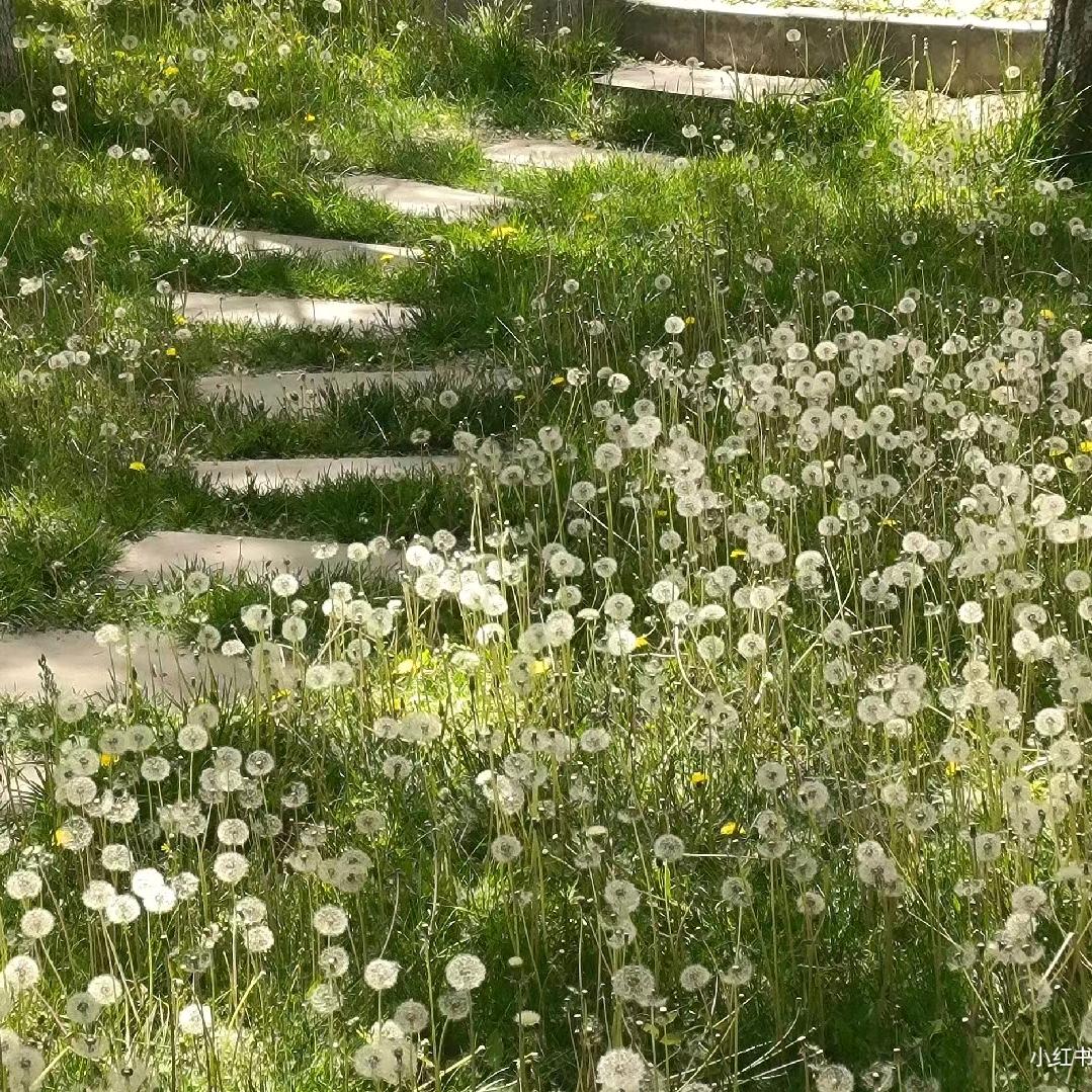 信阳土特产名吃店