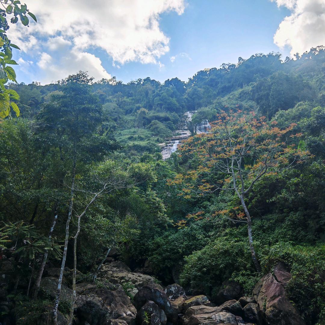 寻好茶-说天下：养生茶园