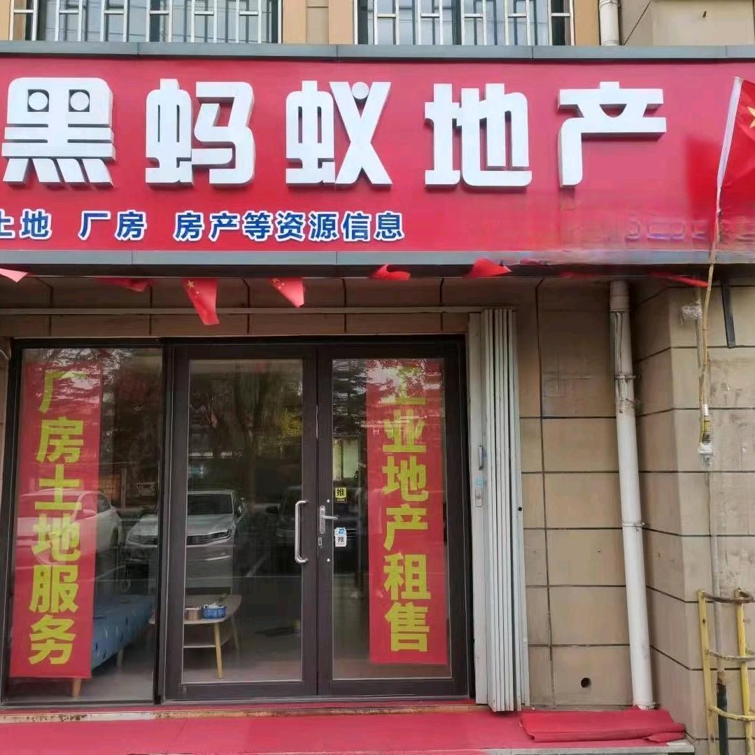 青岛黑蚂蚁地产有限公司