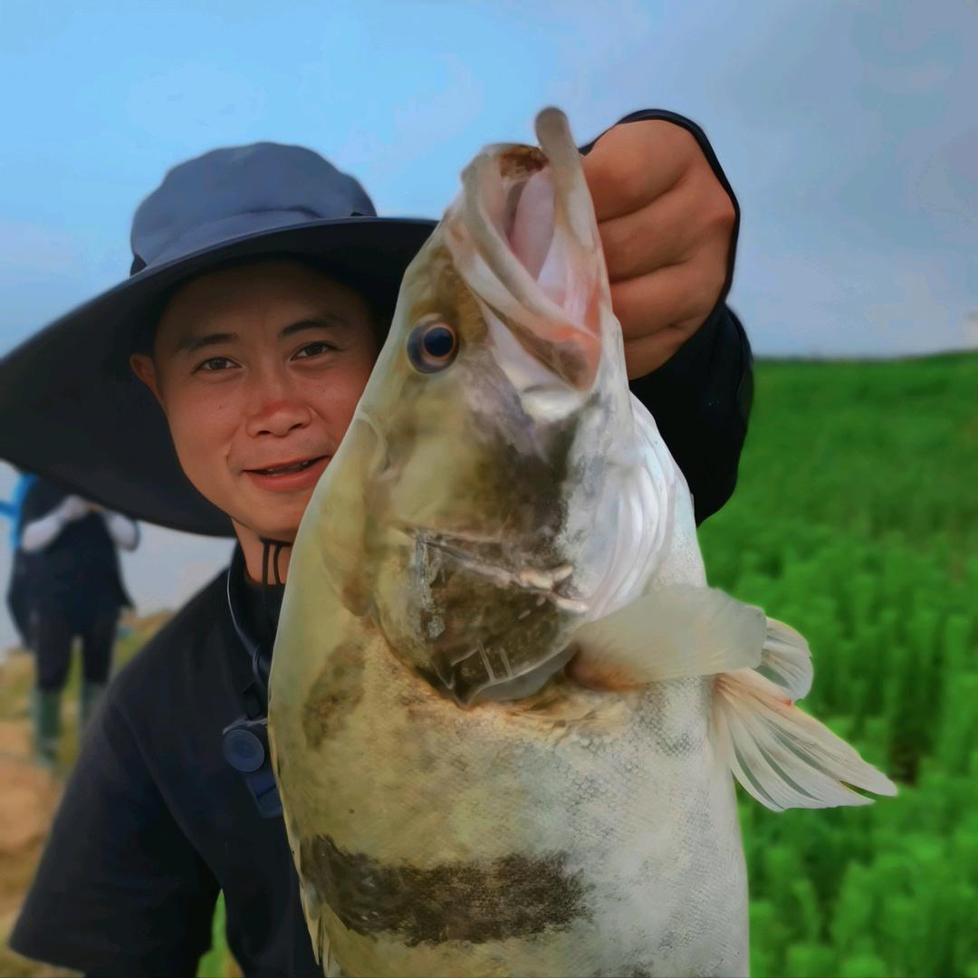 打鳜办老王