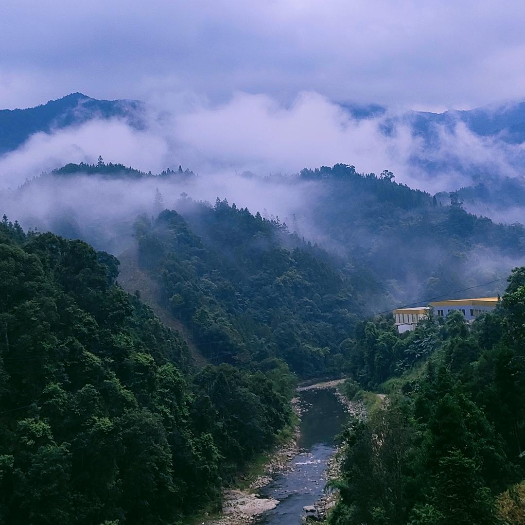 昙花一现