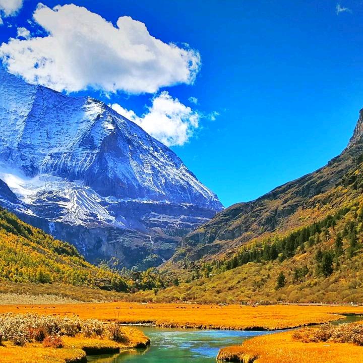 💥在下锅净💎