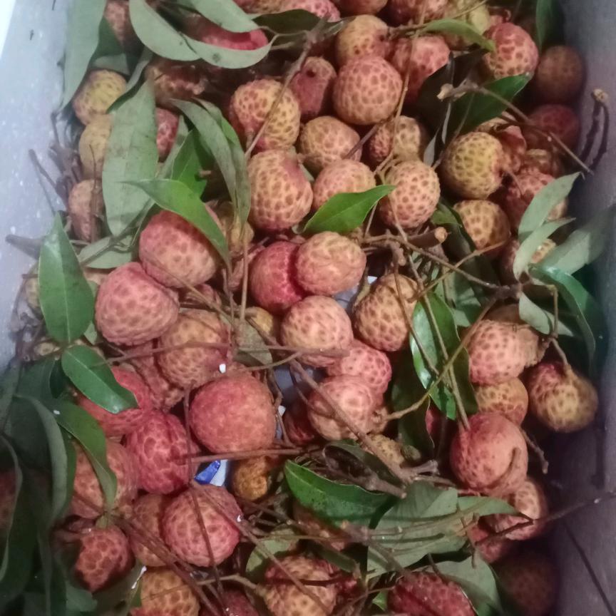 再见了我最爱的人