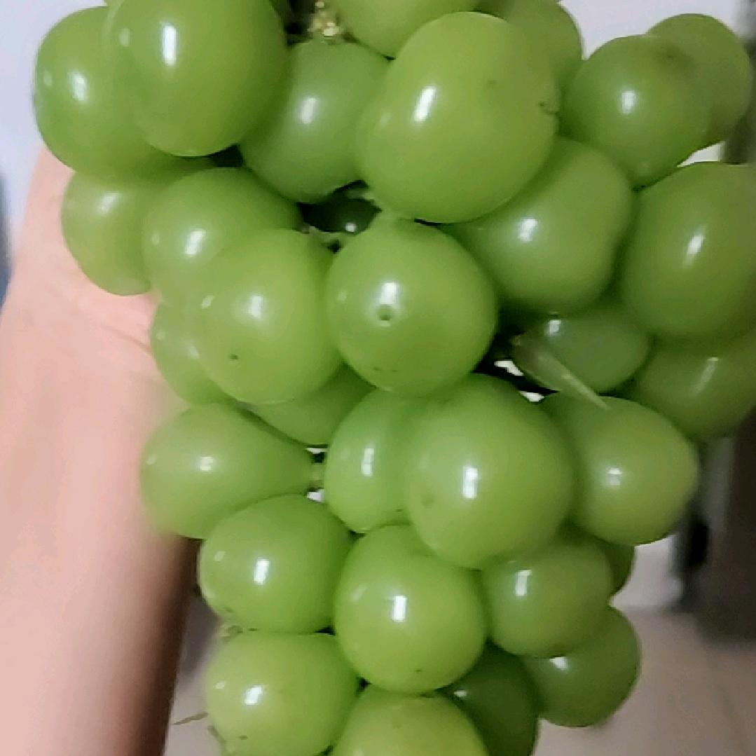和自由很熟