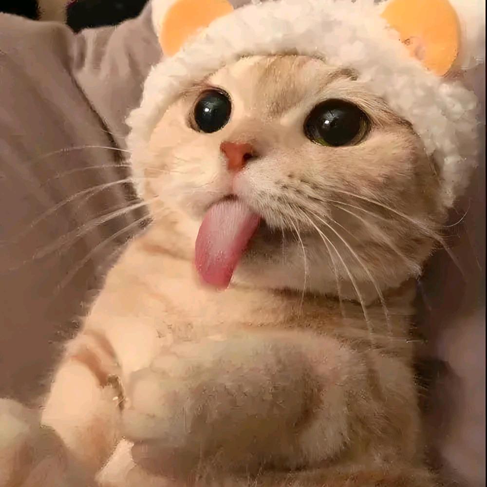 宋温阳_