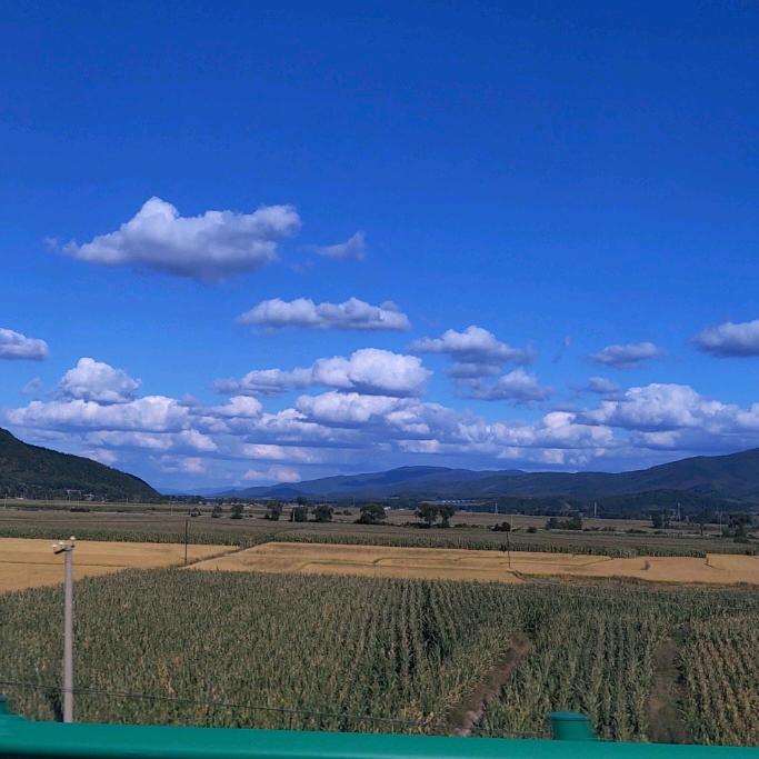 醉清风🎧⁶⁰⁵