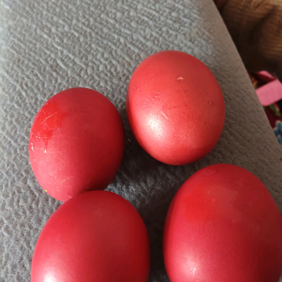 你的关注
