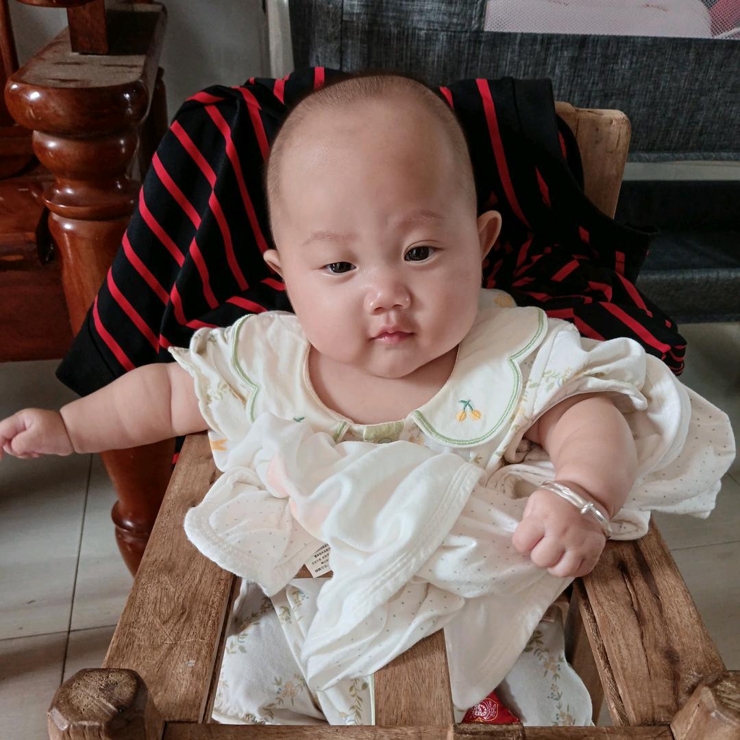 小毛驴