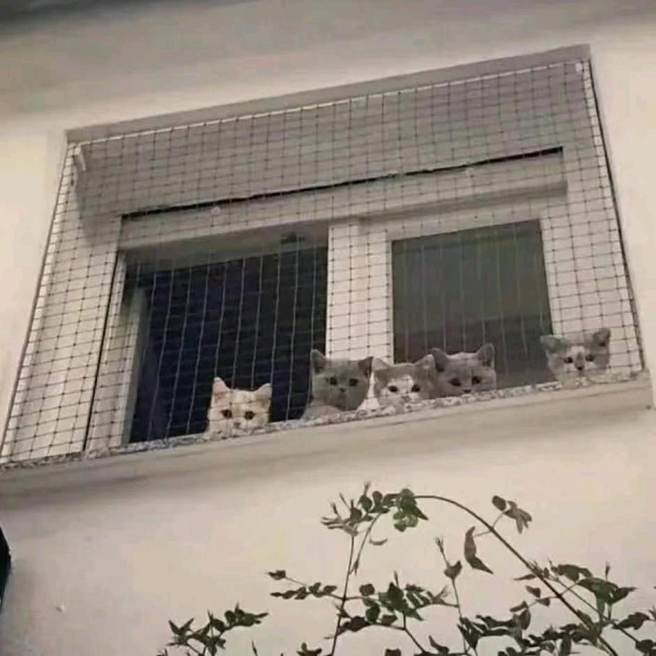 一一ོ