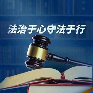 未来法商-法律咨询