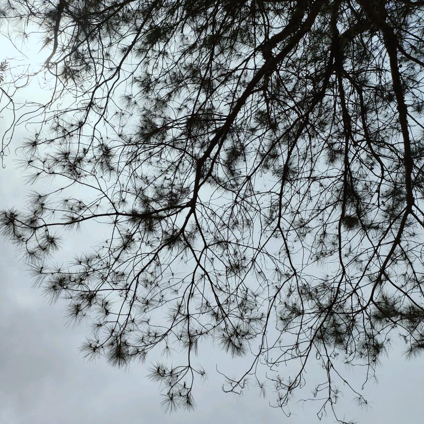 用户5130346531086yhjjj