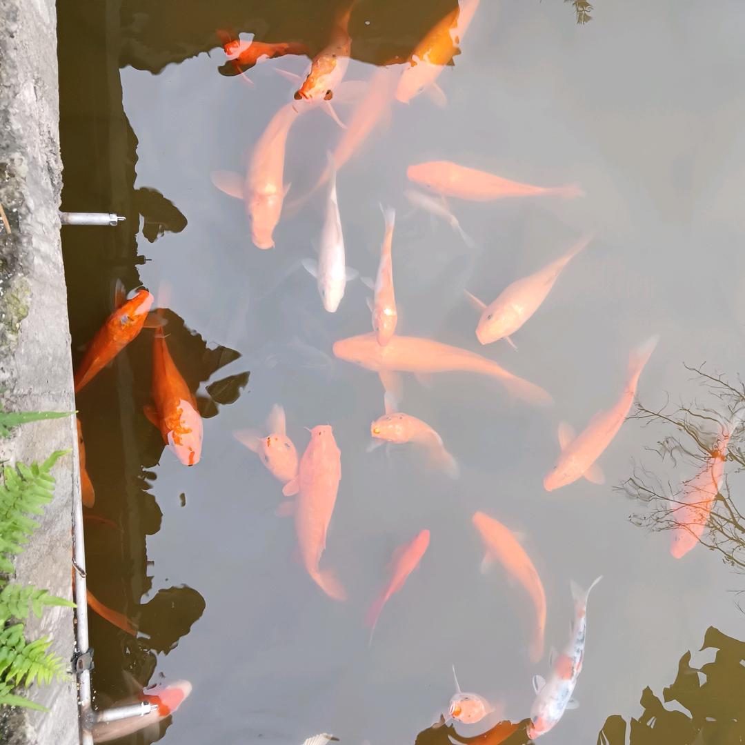 顺其自然