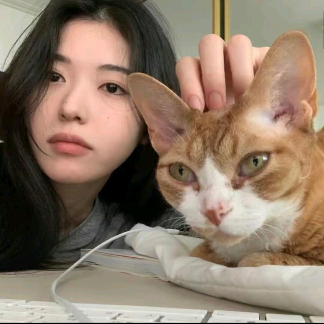 睡不醒..