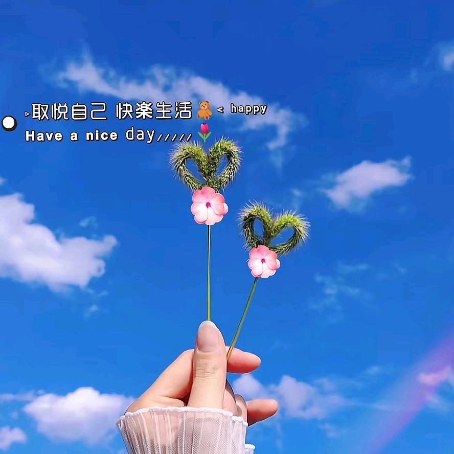 ❥₅̶₂̶₀̶苗子ꦿ°°