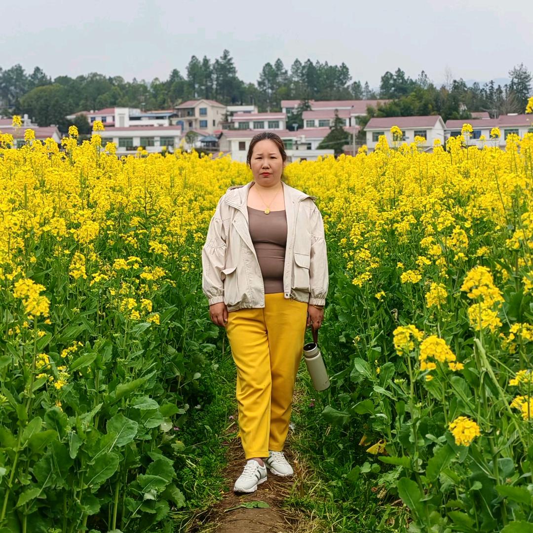 单身小燕子