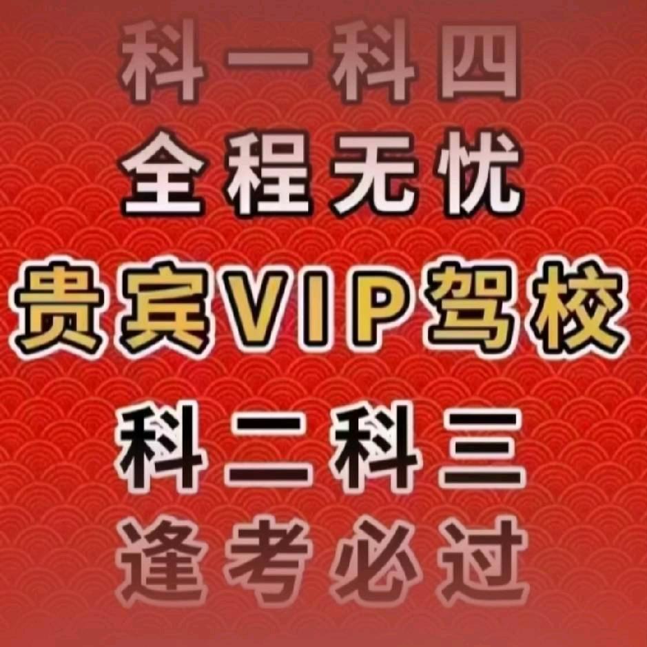 VIP驾考陈教