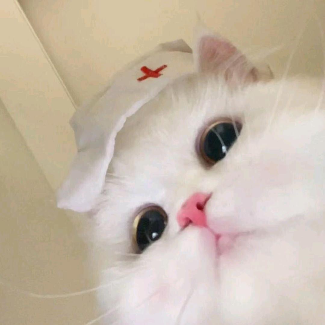 噜噜脸大王