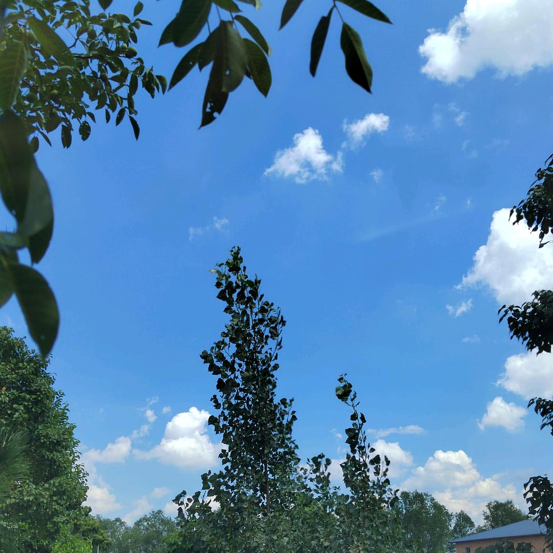风清气正