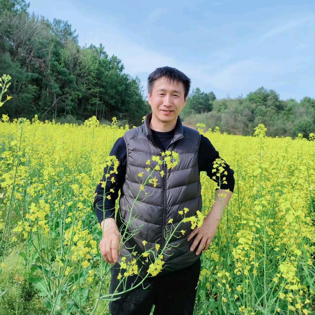 钱大厨的日常生活