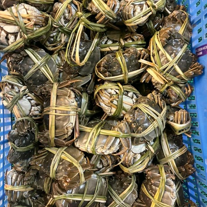 大闸蟹批发
