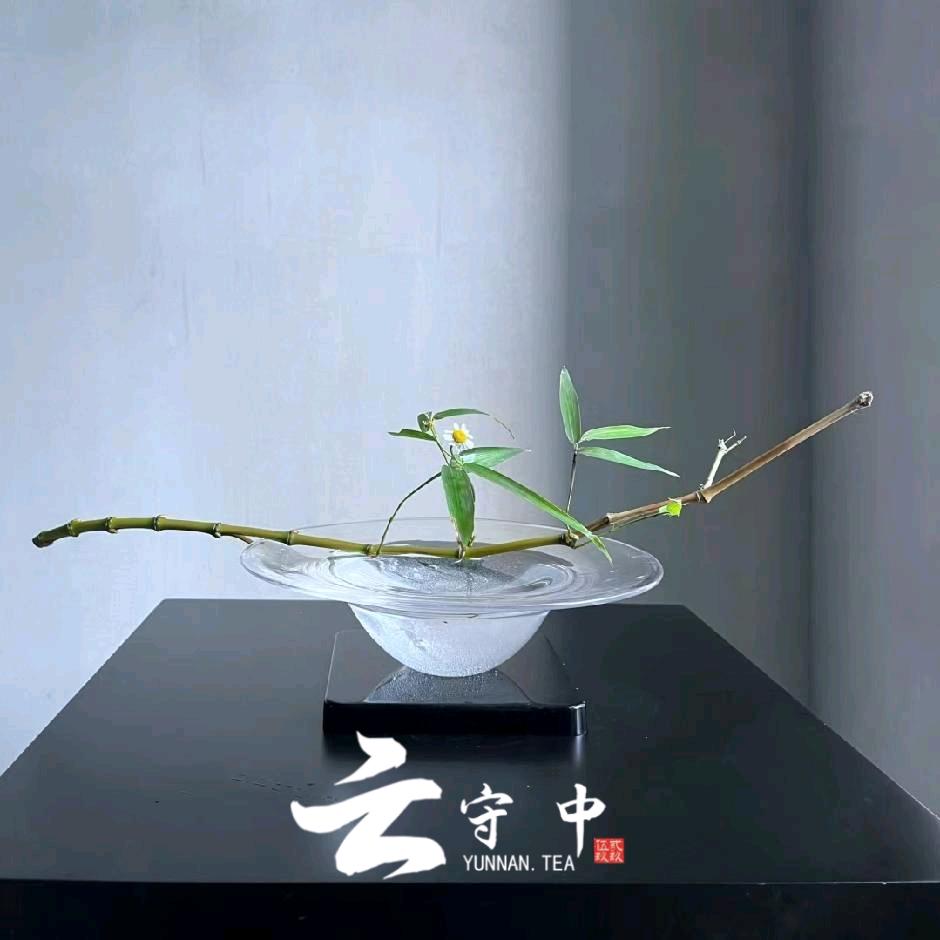 云临茶业【云守中龙陵店】