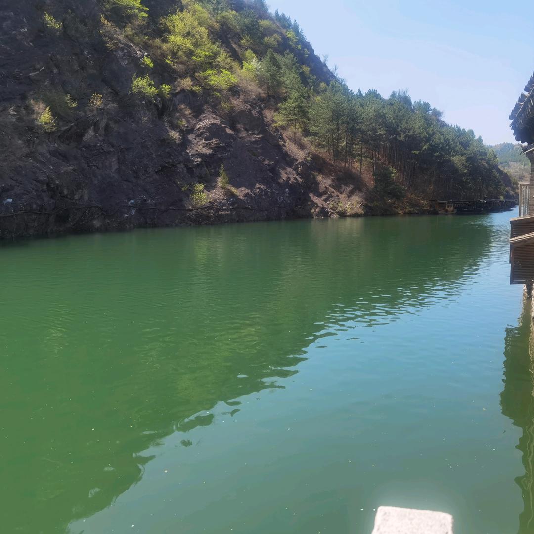 小马（好物分享）