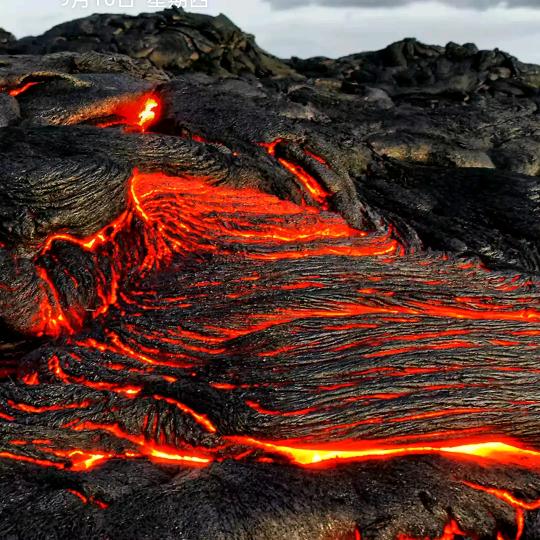 往后余生多指教