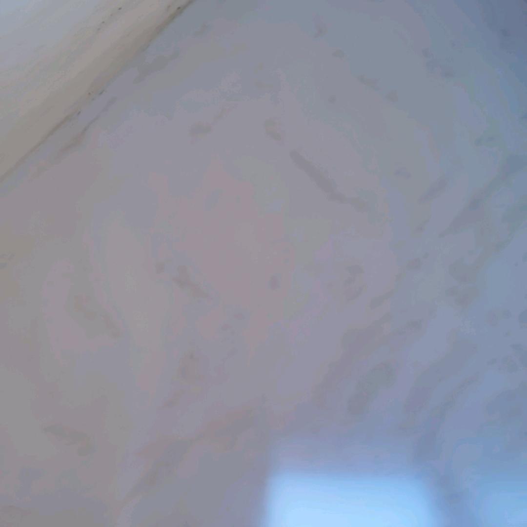 从此封心谁也不爱