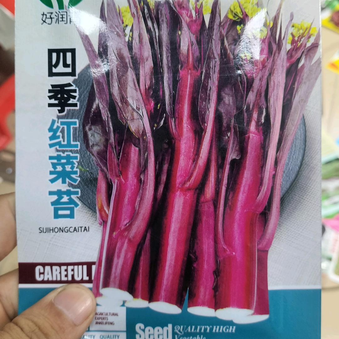 开心小菜园种业