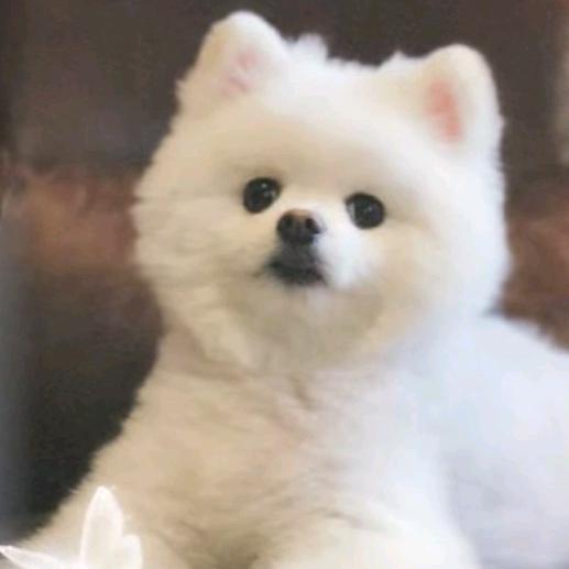 灣灣ℹ️ns搬運工