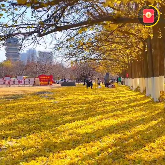 四姐521🍅🇨🇳🌹