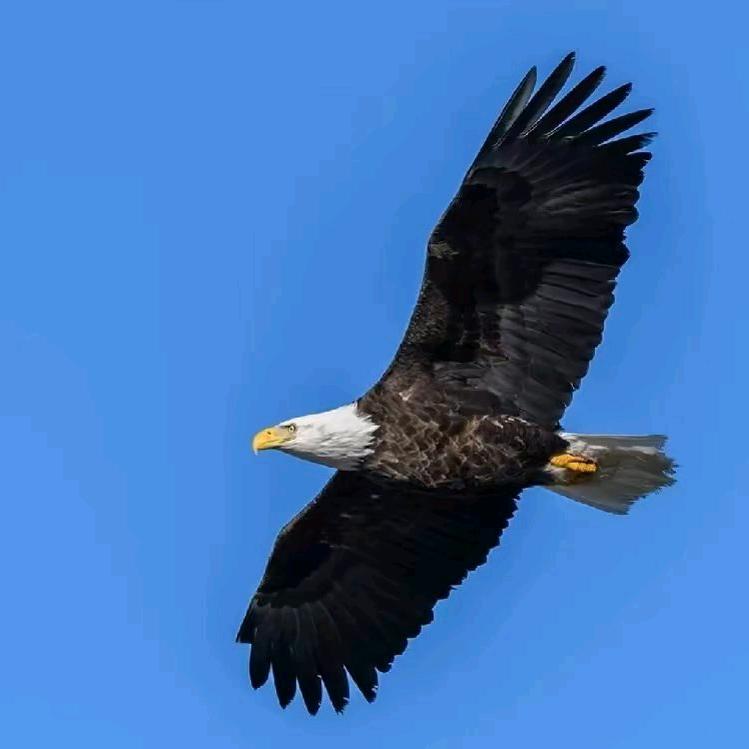 晴空、