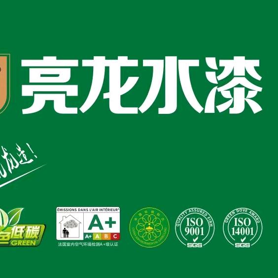 亮龙水漆灵丘形象店