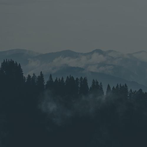众星