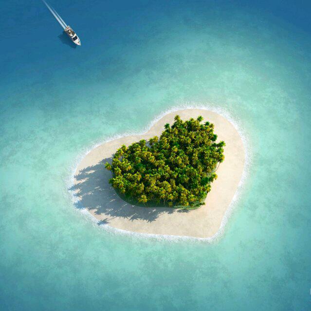 🌴（*＾港湾＾*）🌴