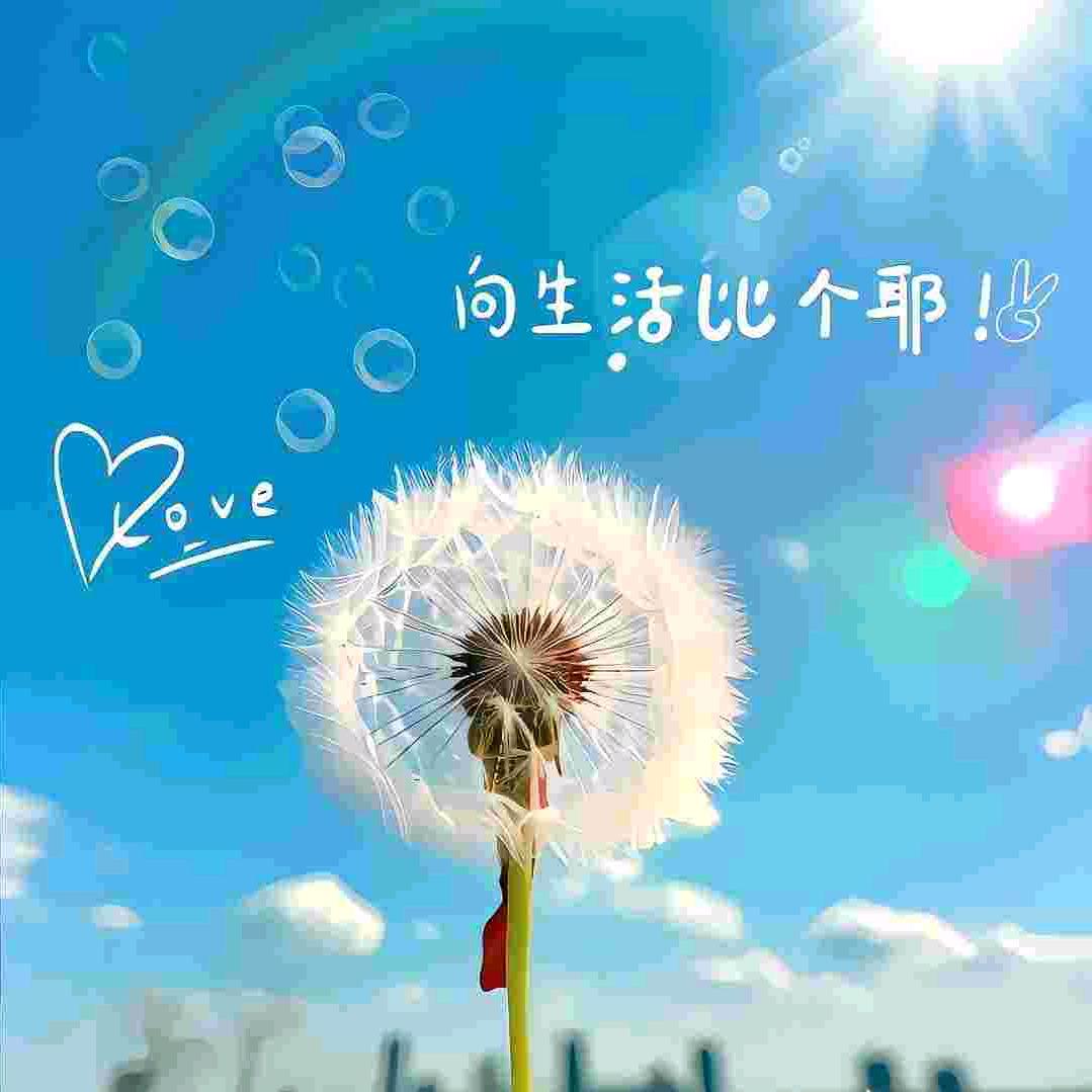 宝贝