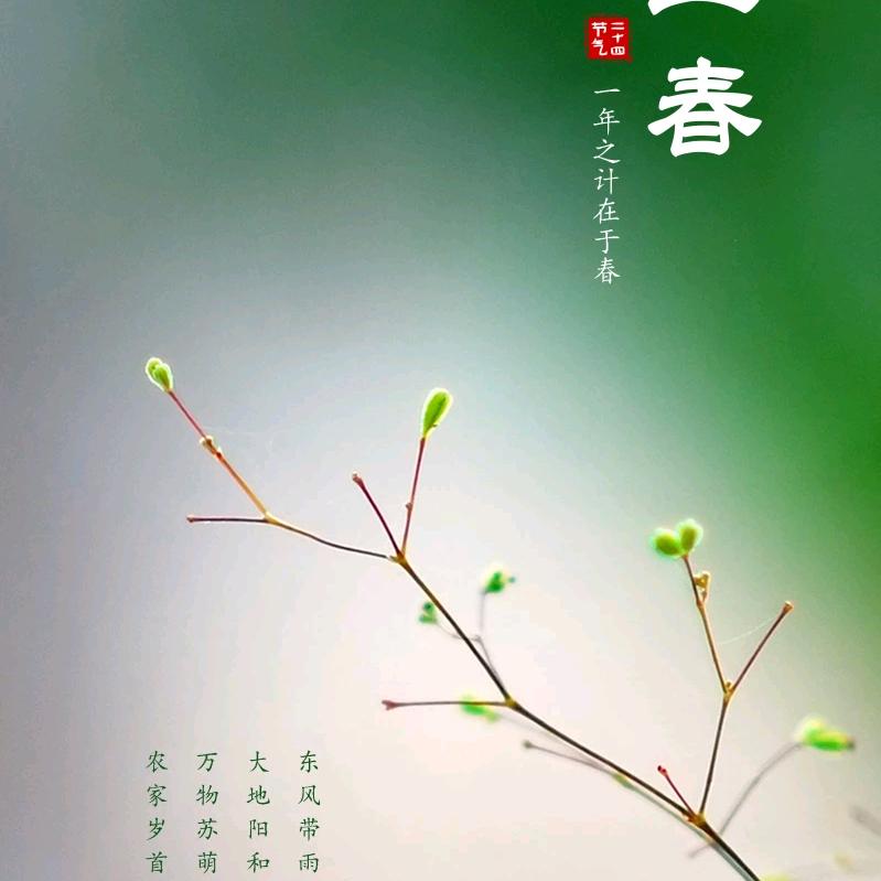 珍惜慈丽
