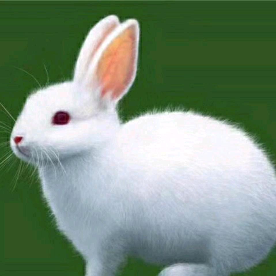 商州最美青棉沟